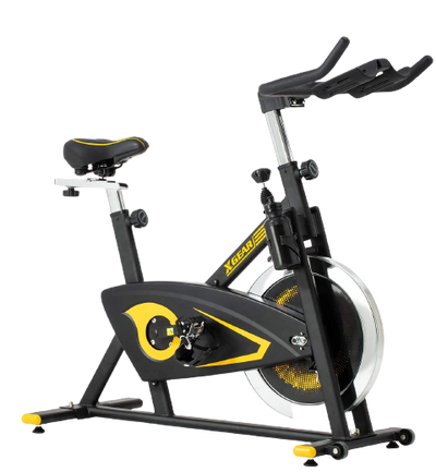 XGEAR Magnetic Resistant Exercise Bike